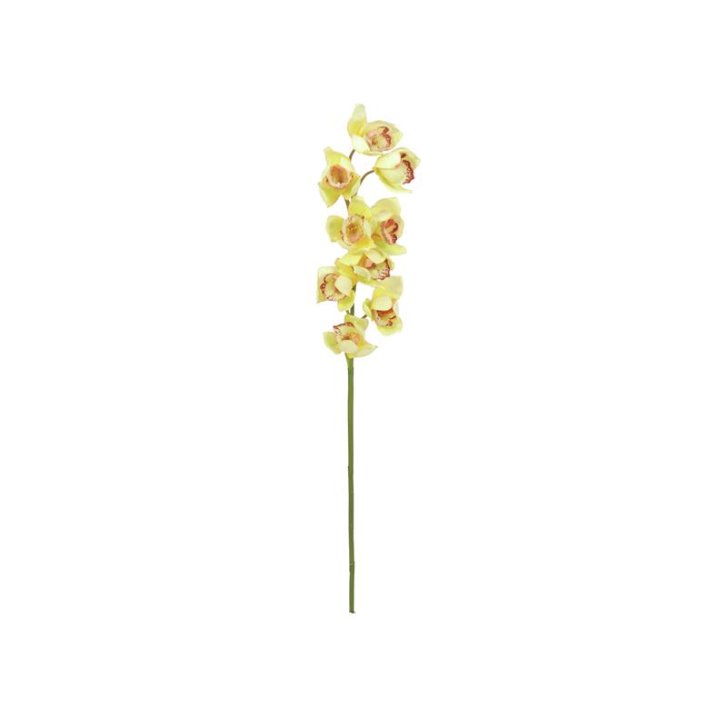 EUROPALMS Cymbidium spray, yellow, 90cm