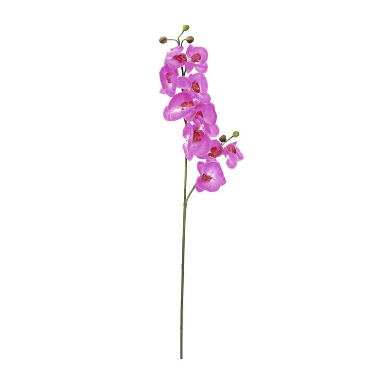 EUROPALMS Orchid spray, purple, 100cm