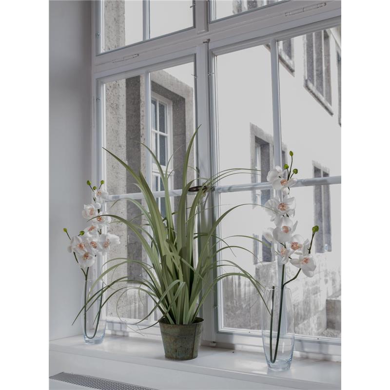 Orhidejski Vejica kremno bel 100cm EUROPALMS