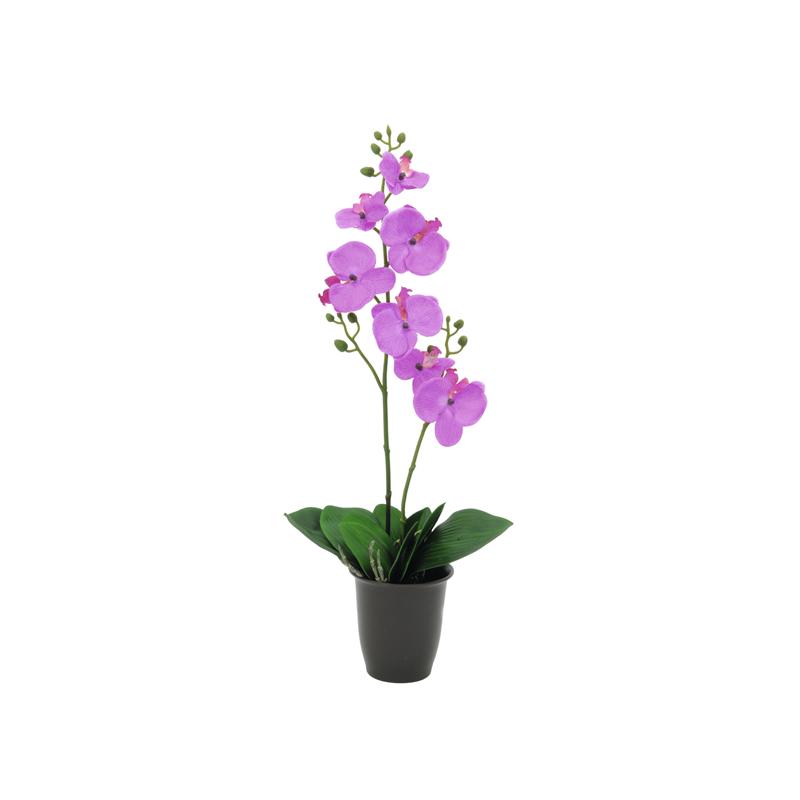 Orhideja vijolična 57cm EUROPALMS