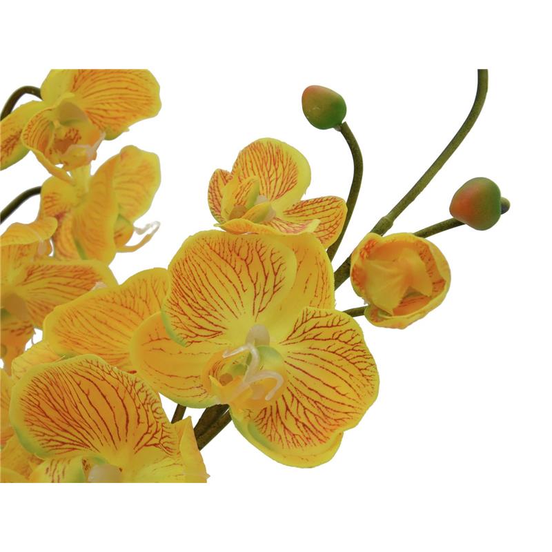 Aranžma orhideje EVA rumena EUROPALMS