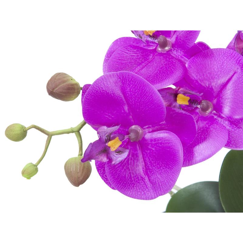 Aranžma orhideje 4 EUROPALMS