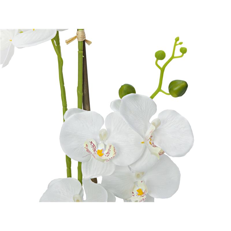 EUROPALMS Orchid, artificial plant, white, 80cm