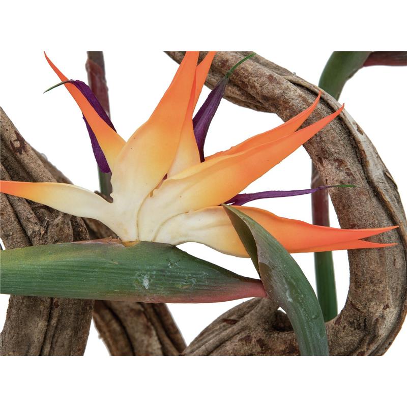 EUROPALMS Bird-of-paradise spray, orange, 95cm