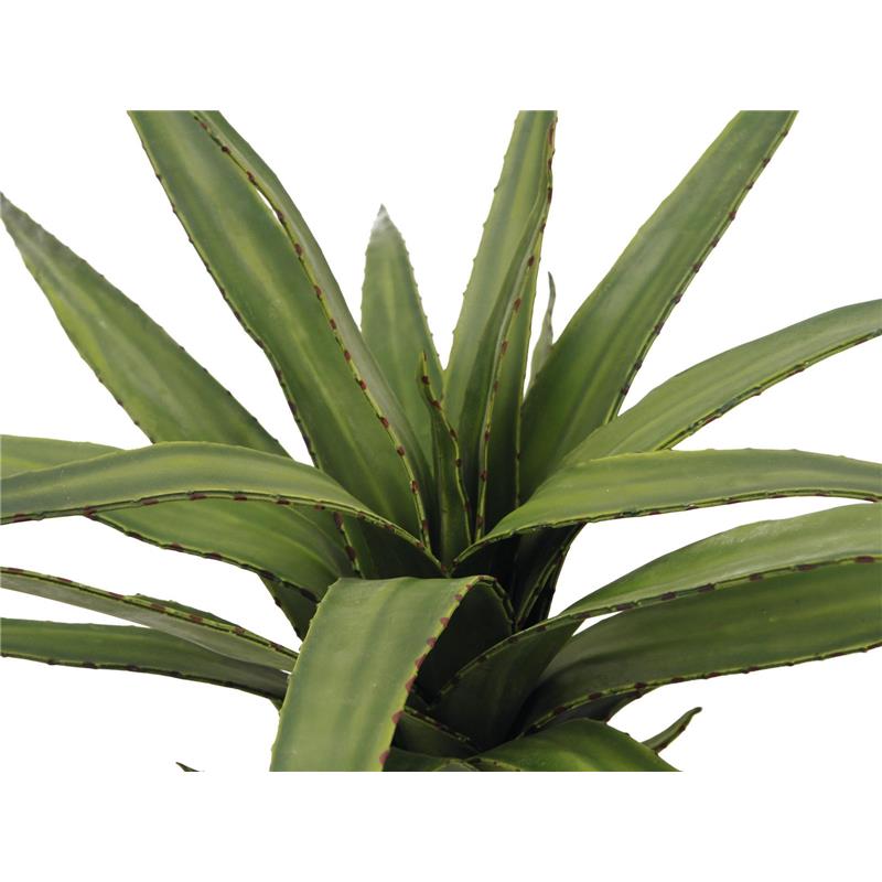 EUROPALMS Aloe (EVA), green, 50cm