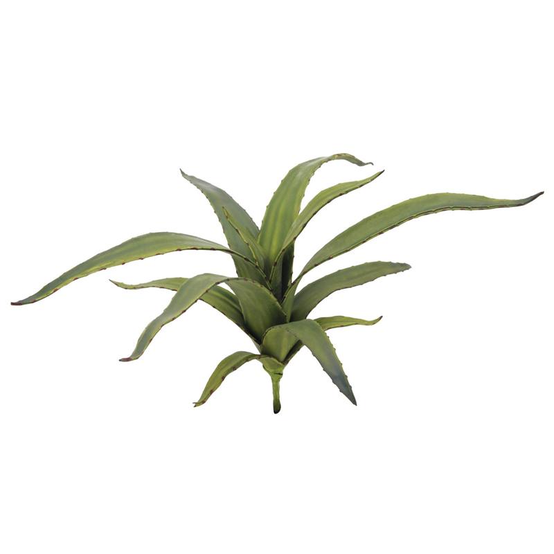 EUROPALMS Aloe (EVA), green, 66cm