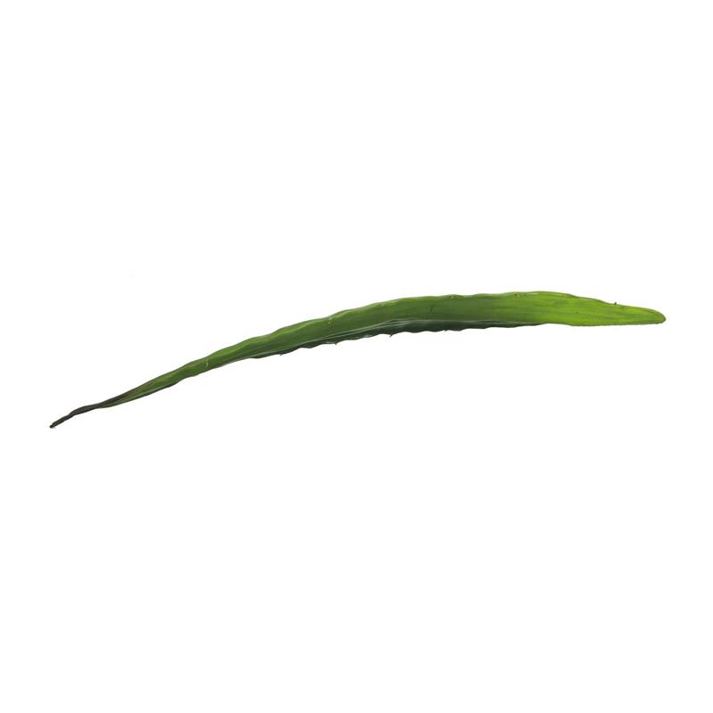 EUROPALMS Aloe leaf (EVA), green, 60cm