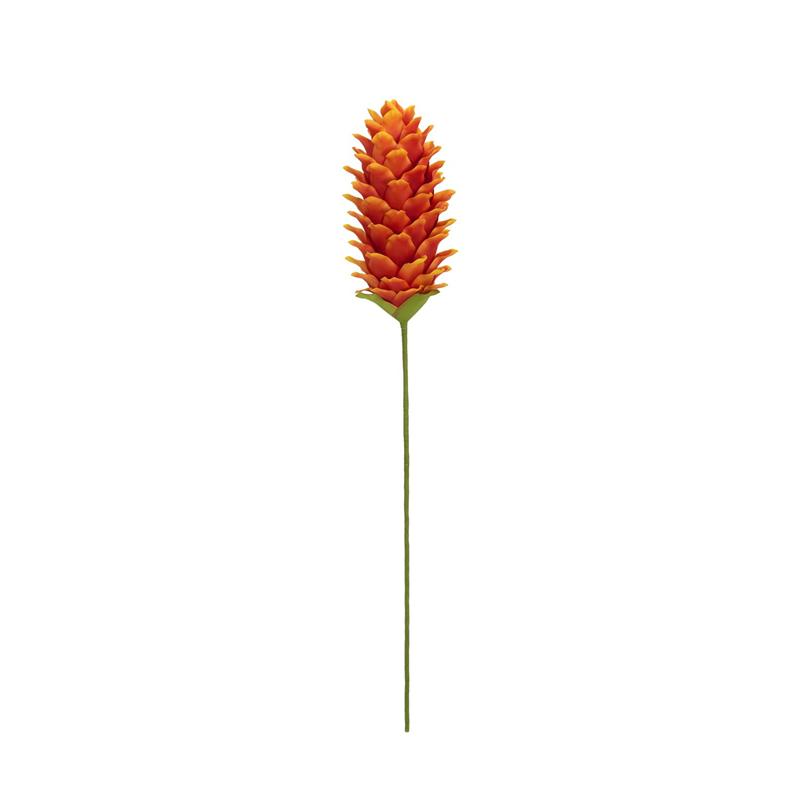 EUROPALMS Ginger Flower (EVA), Orange