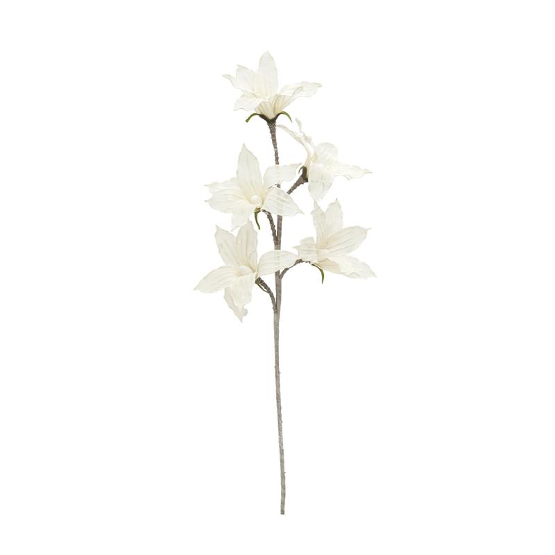 EUROPALMS Clematis Branch (EVA), white