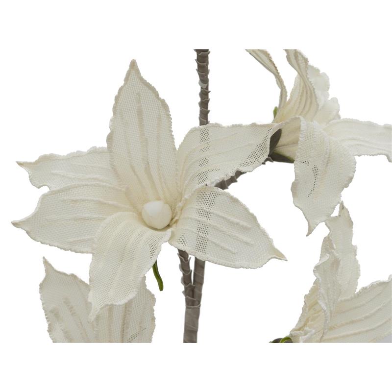 EUROPALMS Clematis Branch (EVA), white