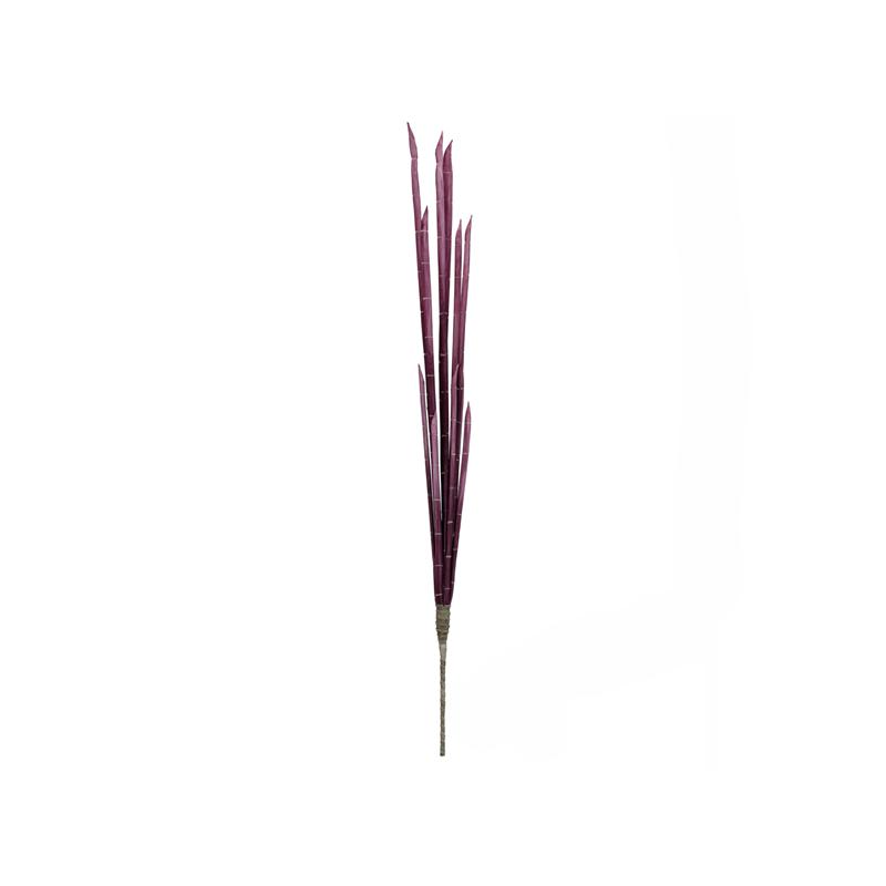 EUROPALMS Magic Onion Stalks, rose, 134cm