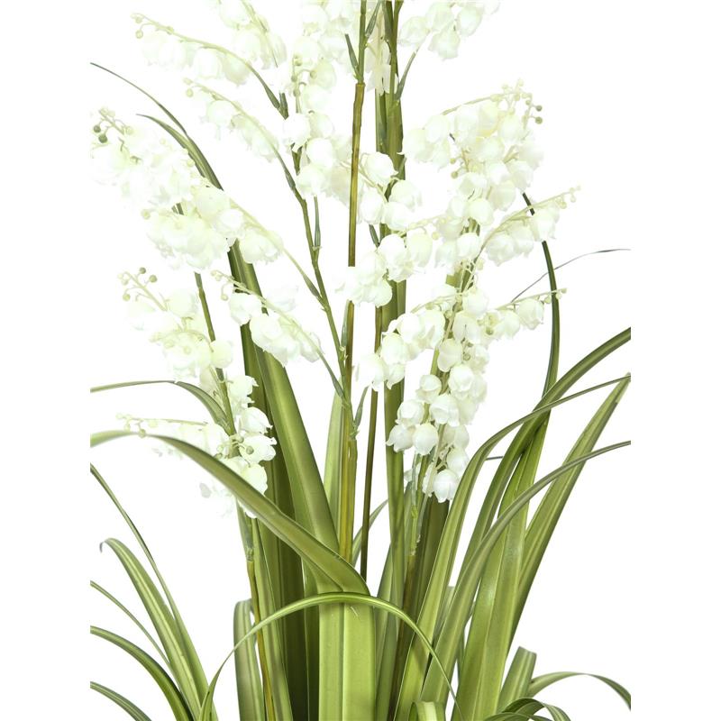 EUROPALMS Bellflower, white, 105cm