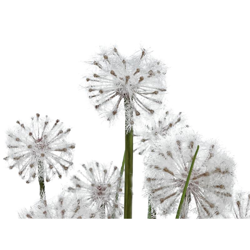 EUROPALMS Dandelion, 107cm