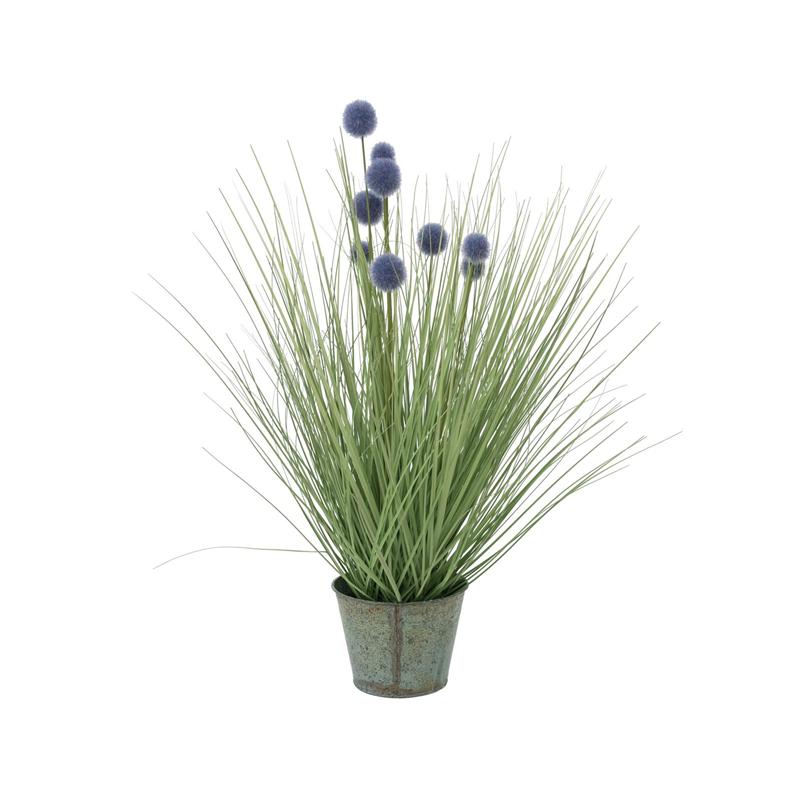 EUROPALMS Pompon Gras, 53cm, purple