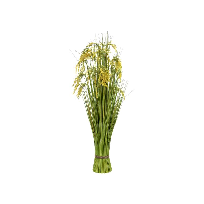 EUROPALMS Reed Grass Bunch 118cm