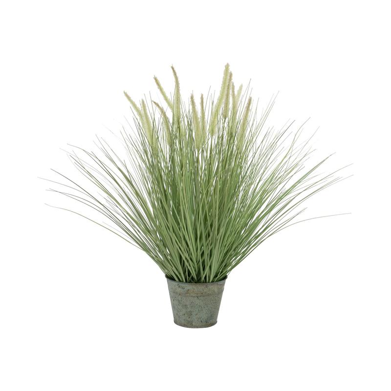 EUROPALMS Ornamental blooming grass, 70cm