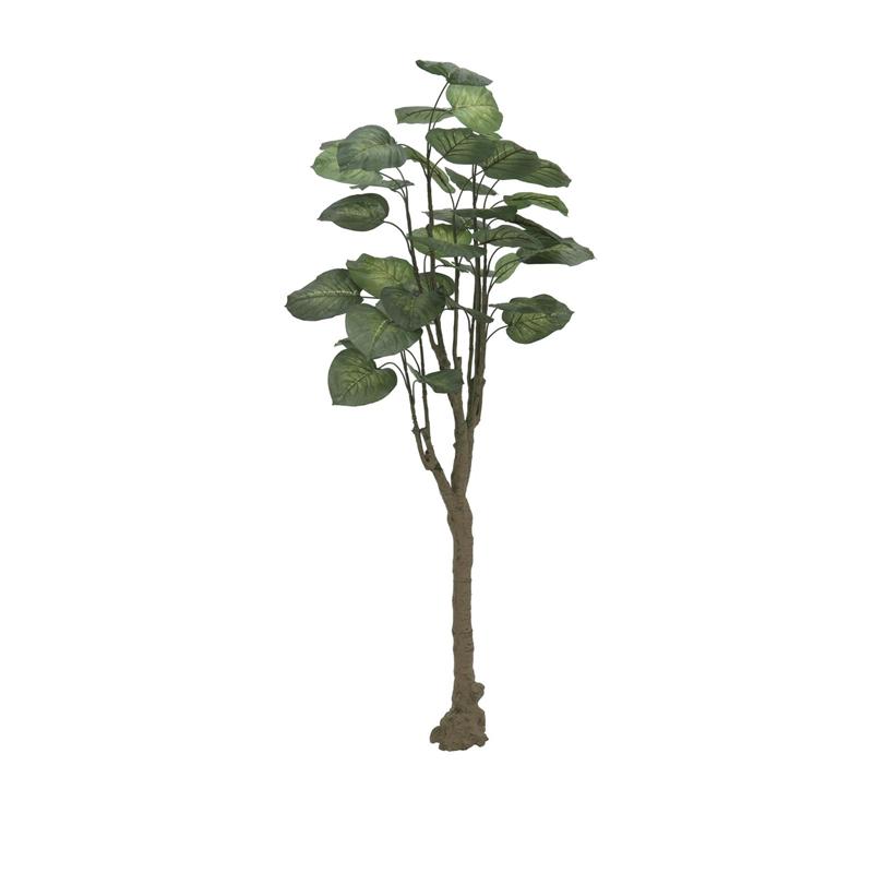 EUROPALMS Pothos tree, 150cm