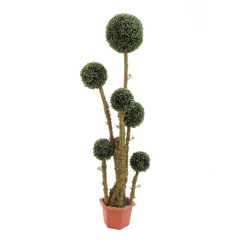 EUROPALMS Box ball tree, 163cm