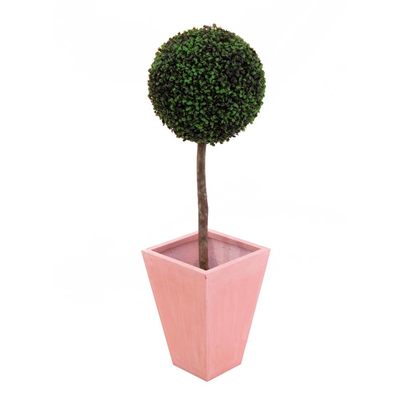 EUROPALMS Boxwood tree, 110cm, d=60cm