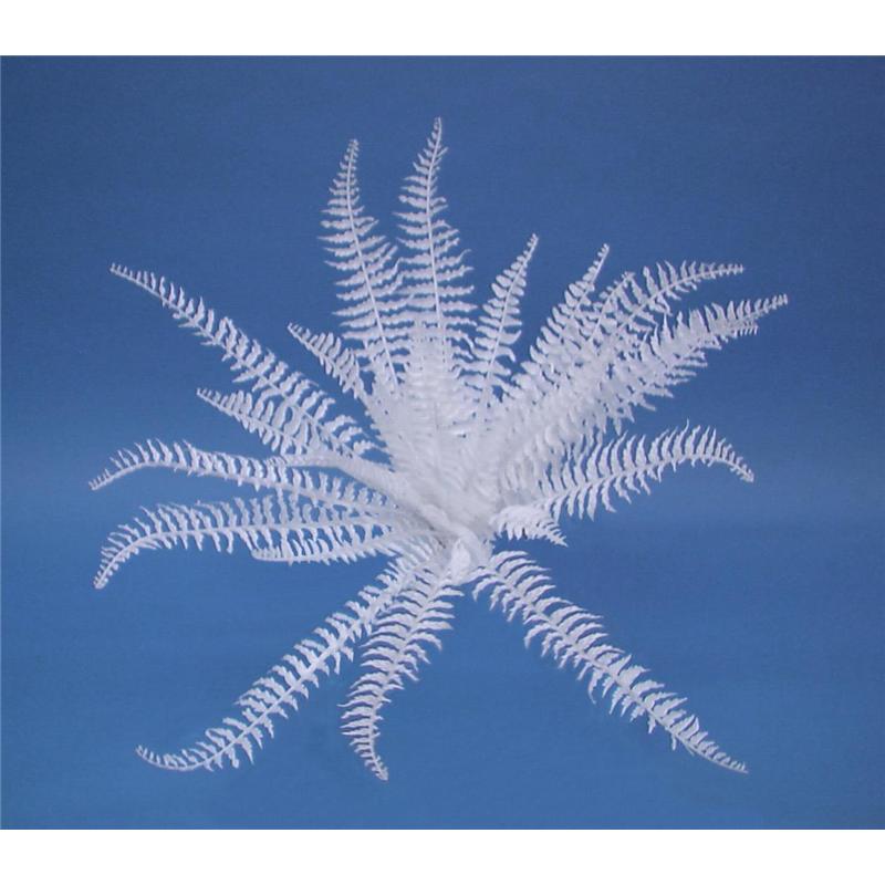 EUROPALMS White boston fern, 60cm