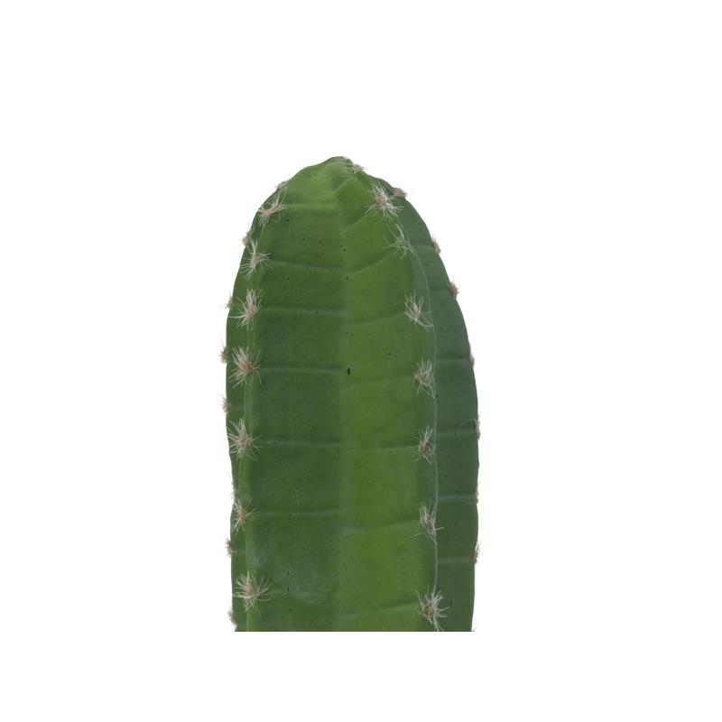 Mehiški kaktus zelen 97cm EUROPALMS