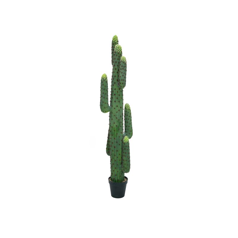 Mehiški kaktus 173cm EUROPALMS