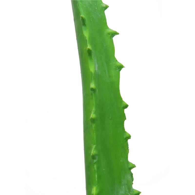 Aloe Vera 63cm EUROPALMS