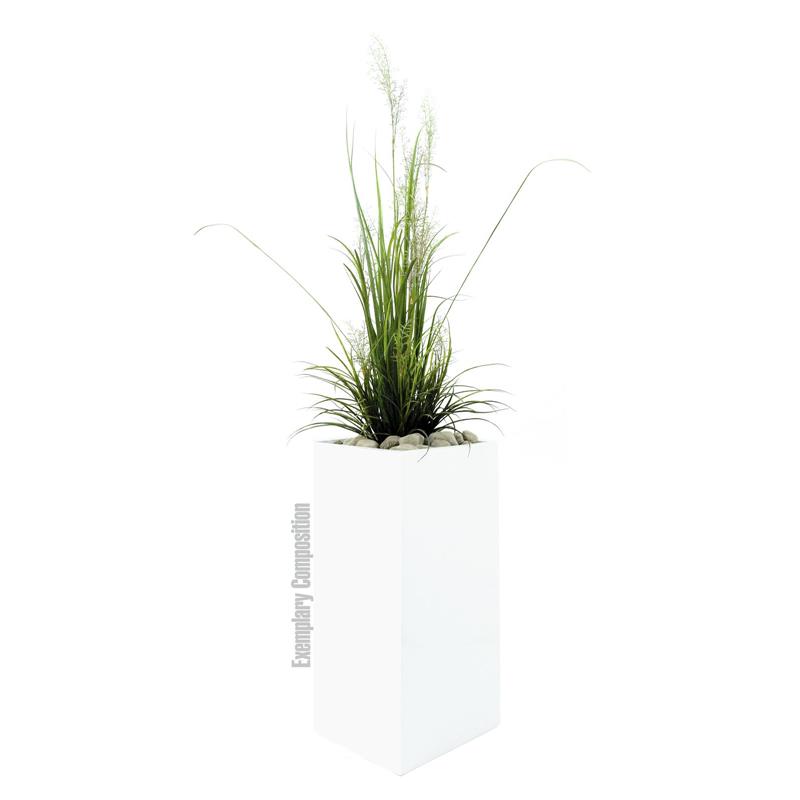 EUROPALMS LEICHTSIN BOX-80, shiny-white