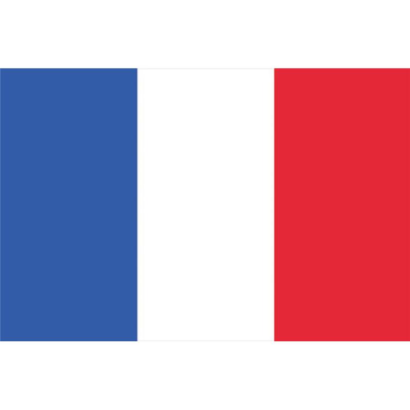 Zastava Francija 600x360cm EUROPALMS