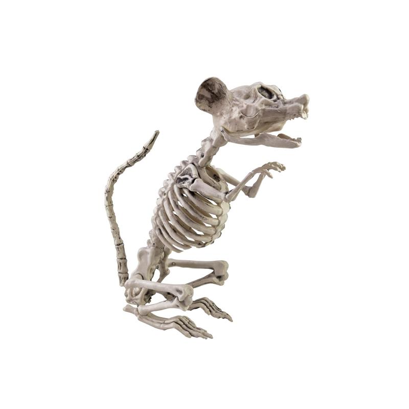 EUROPALMS Halloween Skeleton Rat, 32x10x16cm