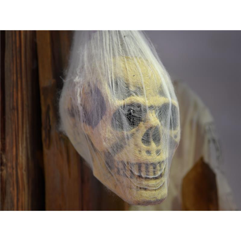 EUROPALMS Halloween Figure Skull in Spider Web, 30cm