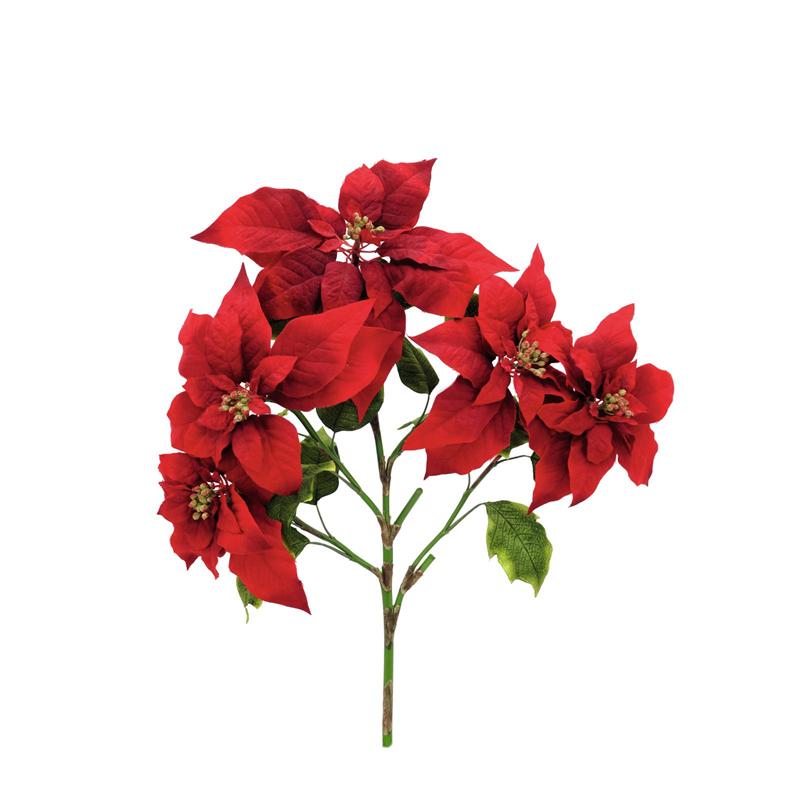 EUROPALMS Poinsettia bush, red, 60cm