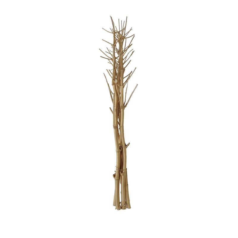 EUROPALMS Fennel bunch, dried, gold, 160cm