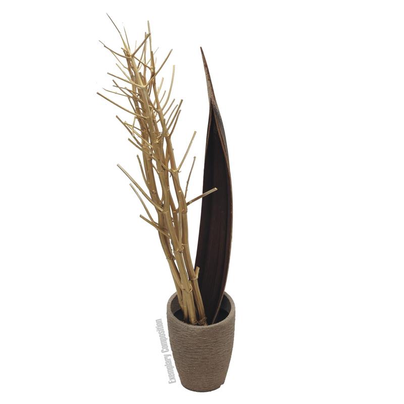 EUROPALMS Fennel bunch, dried, gold, 160cm