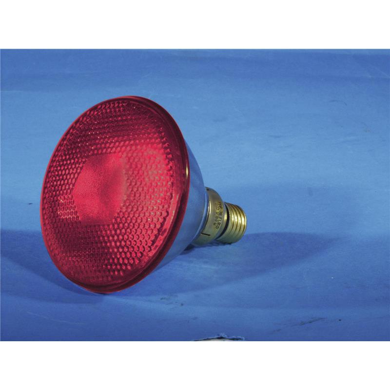 OMNILUX PAR-38 230V/80W E-27 FL red