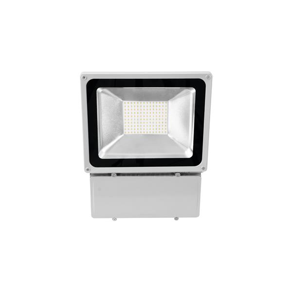 EUROLITE LED IP FL-100 6400K