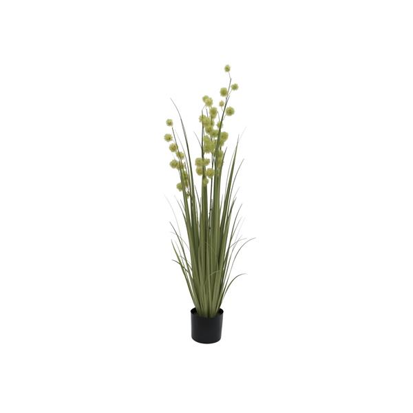 EUROPALMS Allium Grass, 122cm