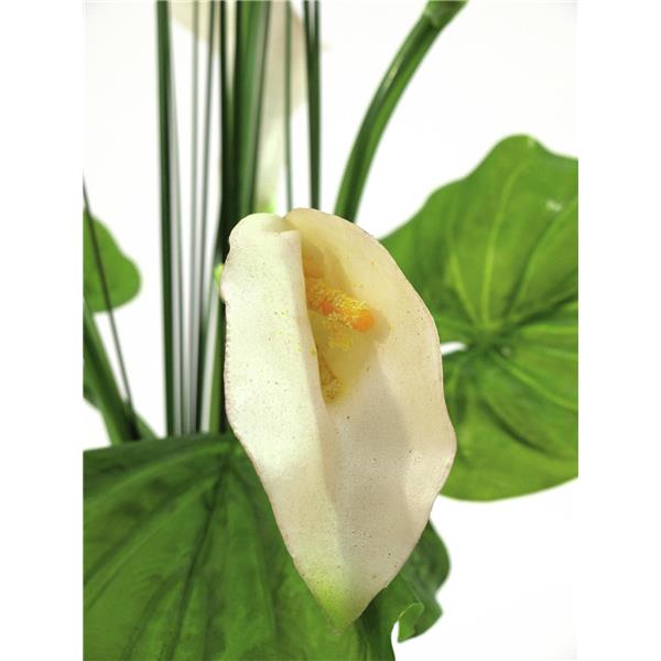 EUROPALMS Calla in glass, 64cm