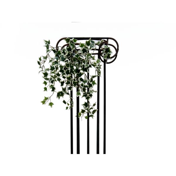 EUROPALMS Holland Ivy Bush Tendril Classic, 60cm