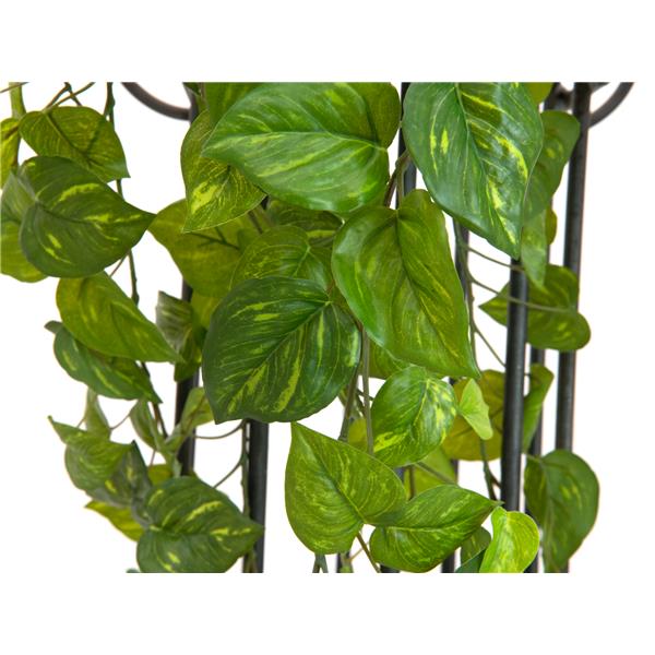 EUROPALMS Pothos Bush Tendril Premium, 100cm