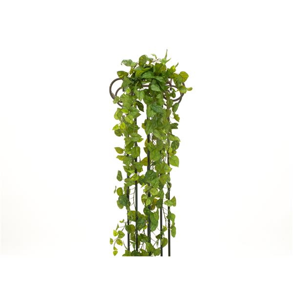 Pothos Bush Tendril Premium 170cm EUROPALMS