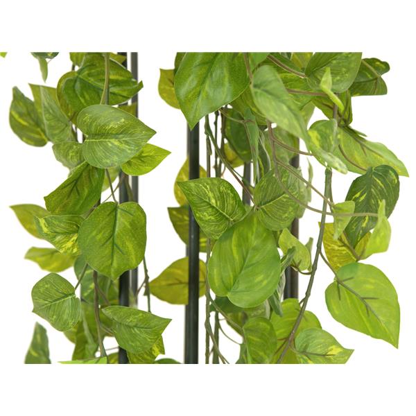 Pothos Bush Tendril Premium 170cm EUROPALMS