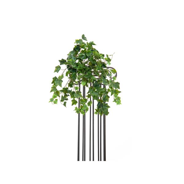 EUROPALMS Ivy Bush,  Premium, 50cm