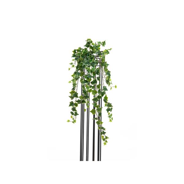 EUROPALMS Hollan Ivy Bush, Premium, 100cm