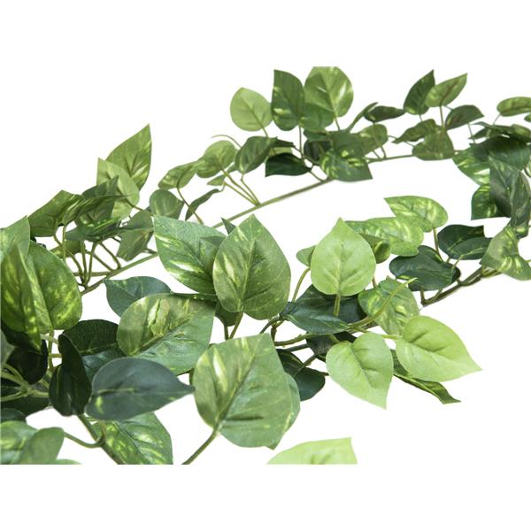 EUROPALMS Pothos Garland Classic, 180cm