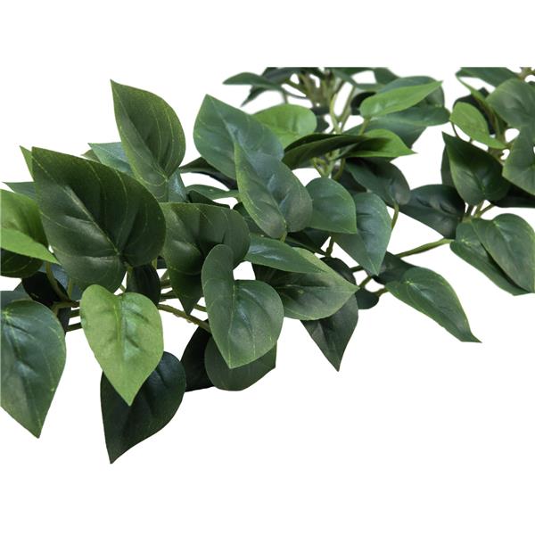 EUROPALMS Philodendron Garland Classic, 180cm