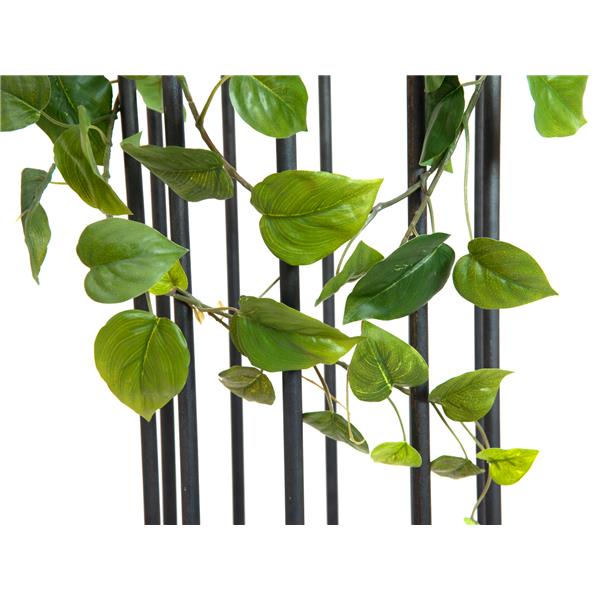 EUROPALMS Philodendron Garland, Premium, 180cm