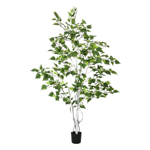 EUROPALMS Birch Tree, 150cm