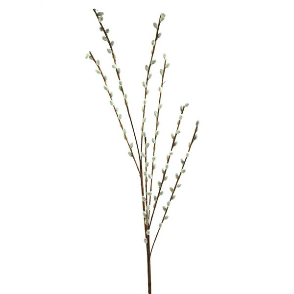 EUROPALMS Pussy willow spray, 117cm