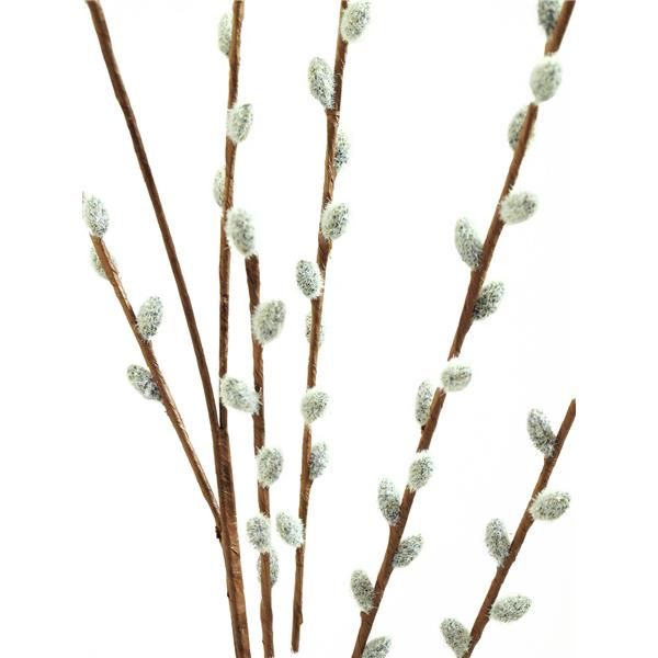 EUROPALMS Pussy willow spray, 117cm